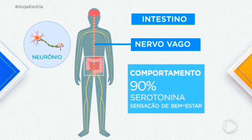 Funcionamento do intestino afeta humor e sono, indicam estudos