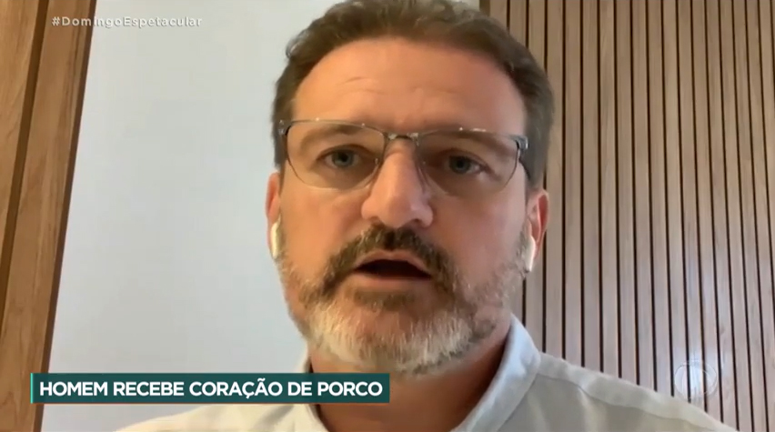 Homem recebe coração de porco em transplante histórico nos Estados Unidos