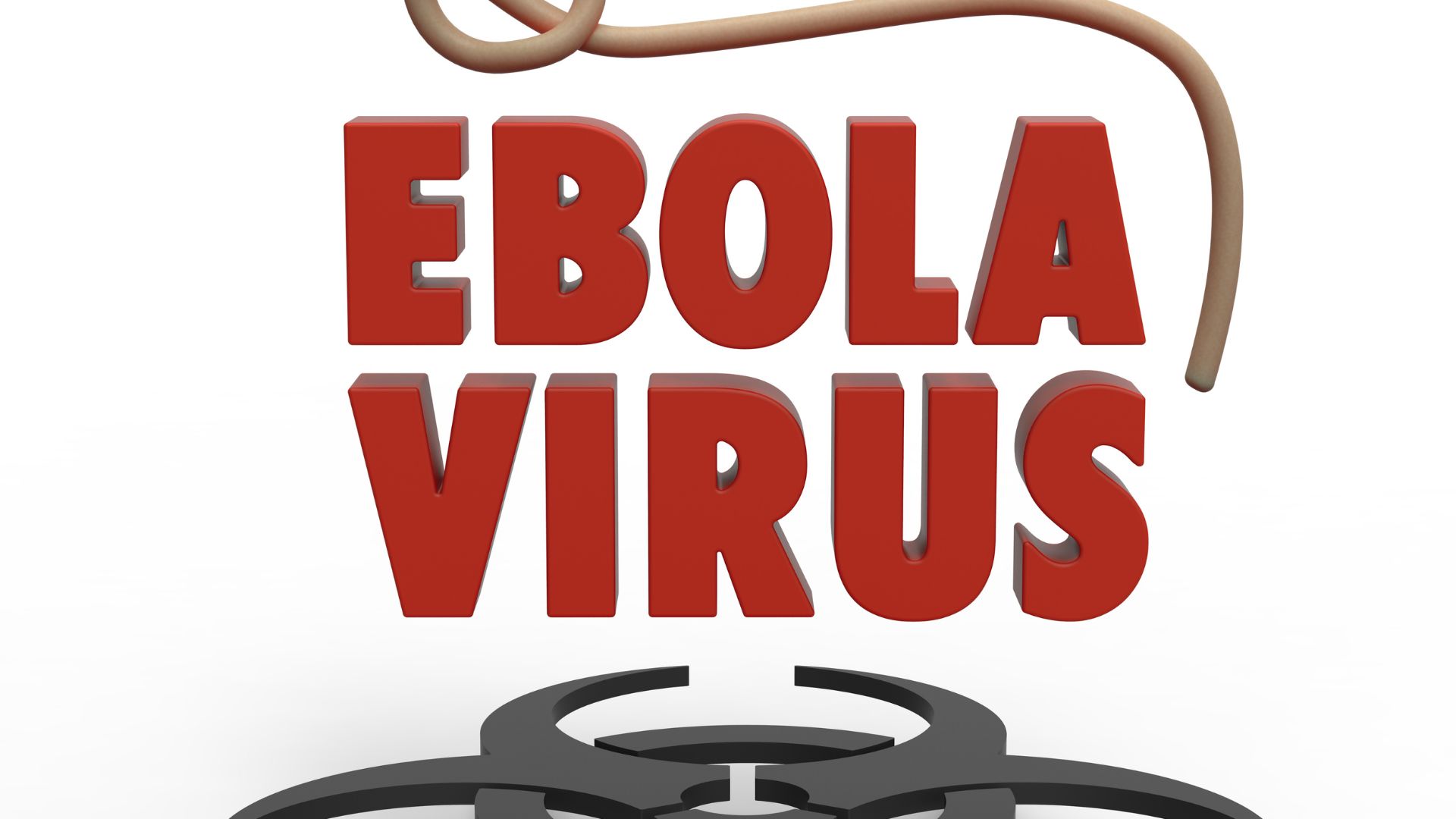 EBOLA - PARAMENTAÇÃO E DESPARAMENTAÇÃO