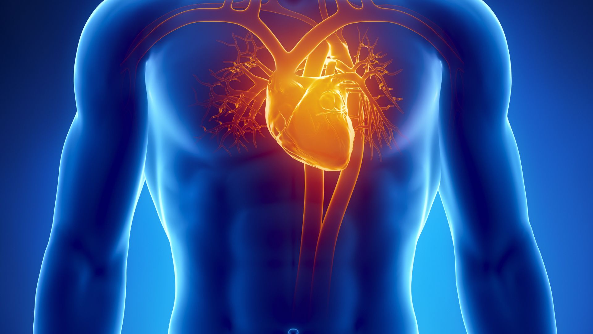 ELETROCARDIOGRAMA - TREINAMENTO ABC 2026